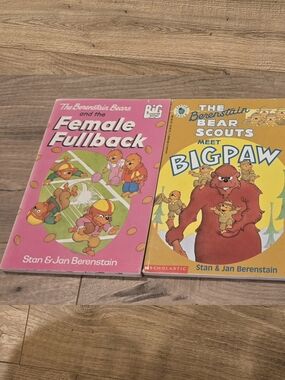 VINTAGE Berenstain Bears Chapter Books Bundle | 90s Scholastic Classics